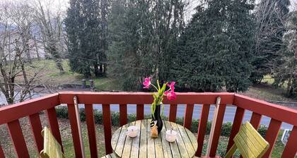 Sunny Studio with Balcony, Parking, and Elevator in Cambo-les-Bains