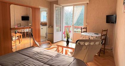 Cambo-les-Bains: Bright T1 Bis with balcony, parking, pets allowed