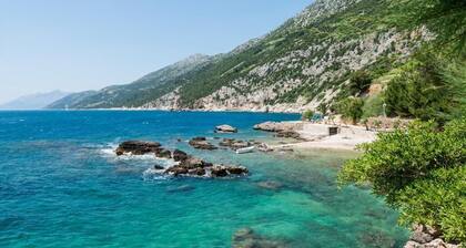 Apartments Villa Dingač- Borak - Standard One-Bedroom Apartment with Balcony and Sea View