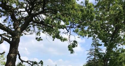 ecological house Brocéliande