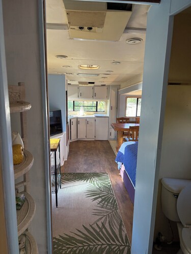Privacy RV Marsh site. Fantastic location! Very comfortable renovated RV.