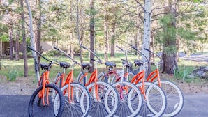 Rivi polkupyöriä on pysäköity päällystetylle alueelle metsäisellä paikalla.