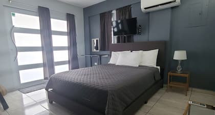 Luxury XL Modern Studio with private lanai / disabled accessible