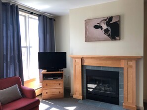 TV, fireplace, video games, DVD player