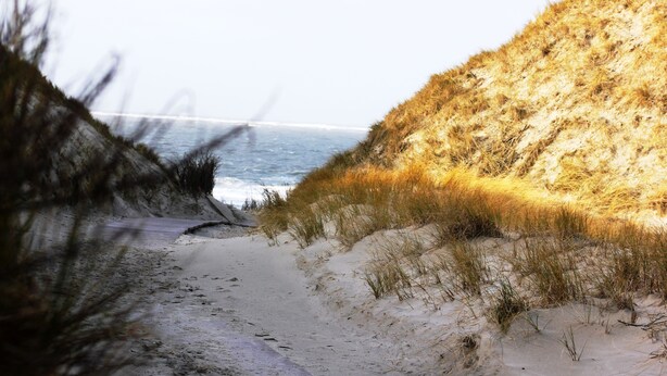 Une plage de sable avec quelques touffes d’herbe, un ciel dégagé et une vue sur l’océan.