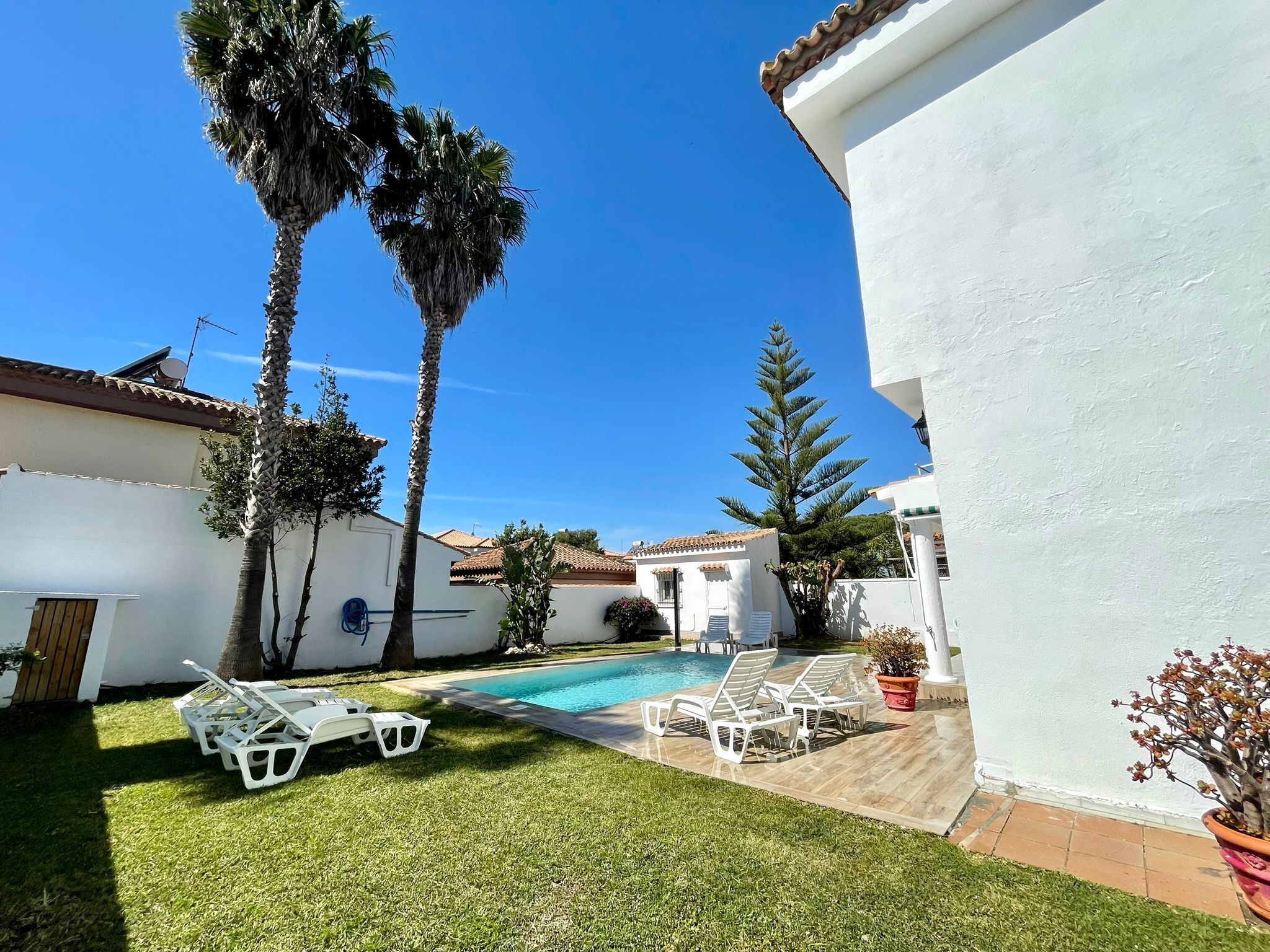 Área de piscina com cadeiras de sol brancas, uma piscina pequena e palmeiras.