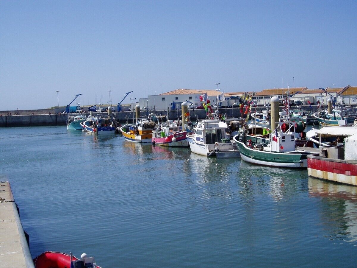 Fishing boats at La Cotiniere,Ile d Oleron