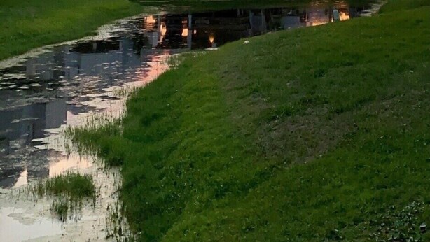 Eine Reihe moderner Häuser mit einem sich spiegelnden Wasserspiegel im Vordergrund.