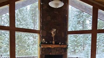 Smart TV, chimenea, reproductor de DVD y libros