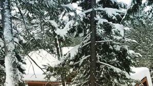 A log cabin with a snow-covered roof and surrounding trees.