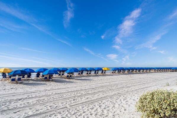 A beach with rows of blue and yellow beach umbrellas and lounge chairs.