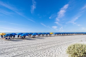 Una playa con hileras de sombrillas y sillas de playa azules y amarillas.