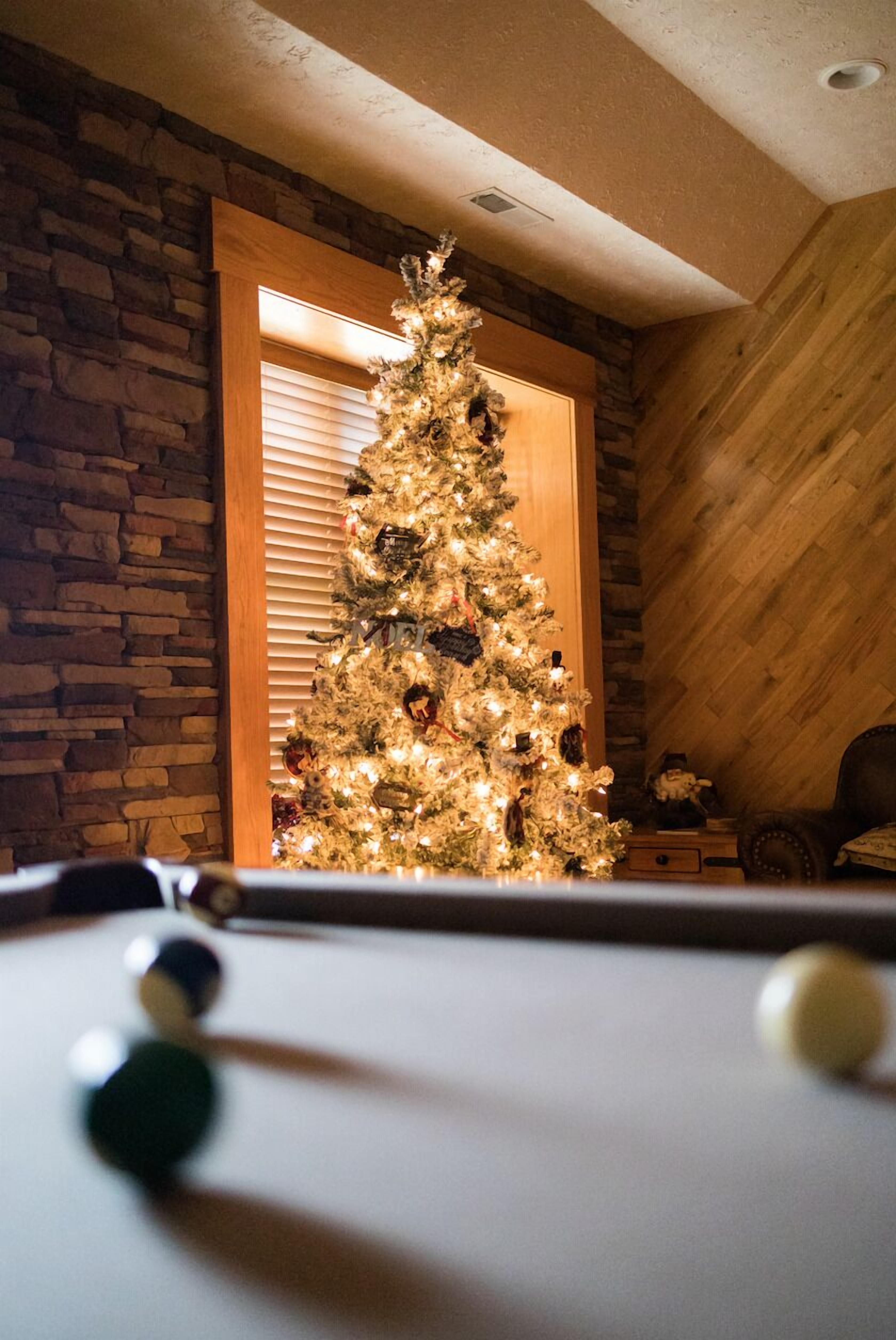 Downstairs Game Room (1)
