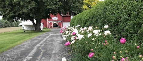 Enceinte de lâhĂ©bergement