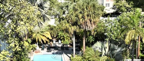 Habitación Deluxe | Balcón