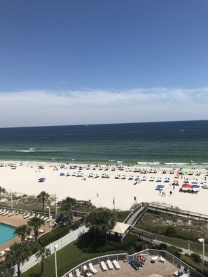 A beach with numerous umbrellas and sun loungers, a pool area, and a view of the ocean. - Direct Ocean View from the top floor! (Orange Beach)