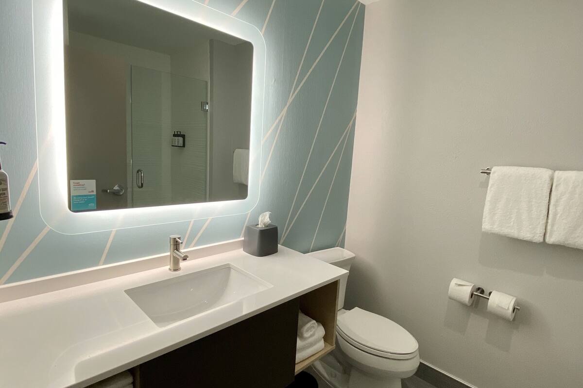 shower, free toiletries, hair dryer, towels