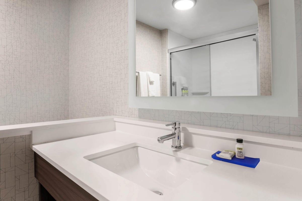 Baño | Amenidades de baño de diseñador, secadora de cabello, toallas, jabón 