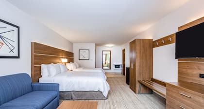Holiday Inn Express & Suites Elkhart North by IHG