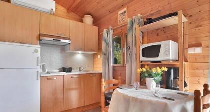 Wooden chalet with large terrace