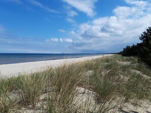 Tæt på stranden