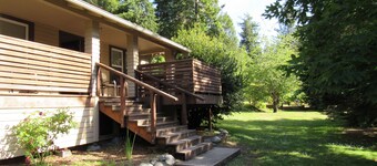 Twin trees retreat in the redwoods along the river