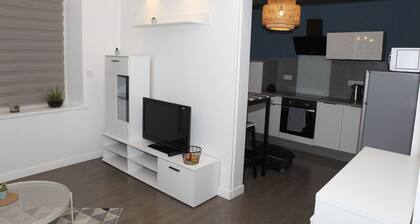 Studio hyper centre ville Ăpernay - Champagne