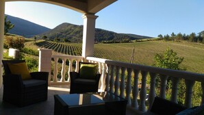 A covered outdoor seating area with wicker furniture and a glass table, overlooking a vineyard with rows of grapevines and a mountainous backdrop. -  Holiday rental Gite Pousada Tropical (VOLVENT)