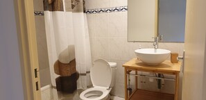 Bathroom features a toilet, vanity with a large sink, and a shower curtain.