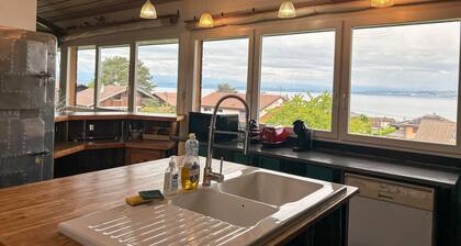 Villa mit Terrasse, Garten, nahe Evian und Pisten, Wifi, Parkplatz
