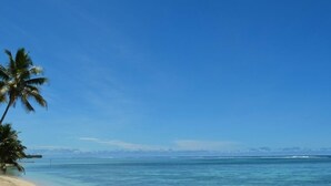Une plage avec une eau d’un bleu limpide, un palmier et une vue lointaine sur la terre ferme.
