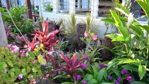 Un jardin avec différentes plantes et fleurs, des structures en bois et un bâtiment en arrière-plan.