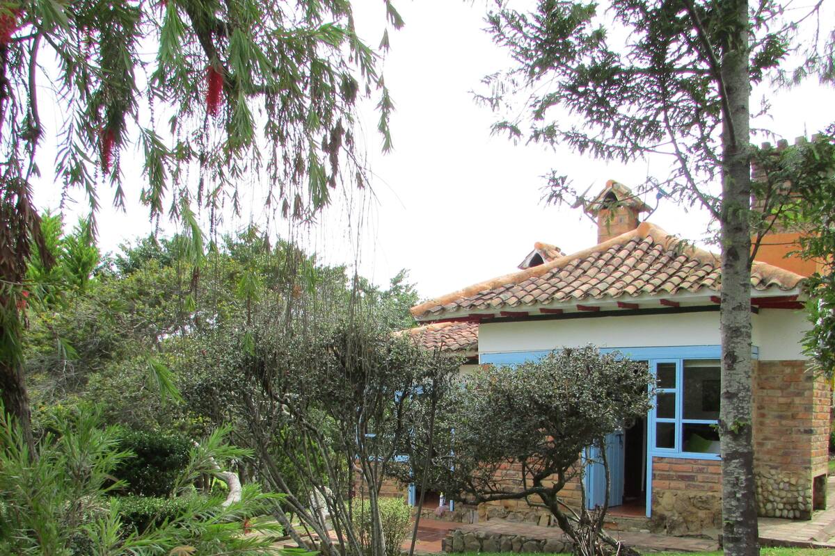 Een huis met een pannendak, een blauwe deur en een tuin met verschillende planten en een kleine boom.