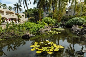 A serene pond with lily pads surrounded by lush greenery and palm trees, with a building in the background.