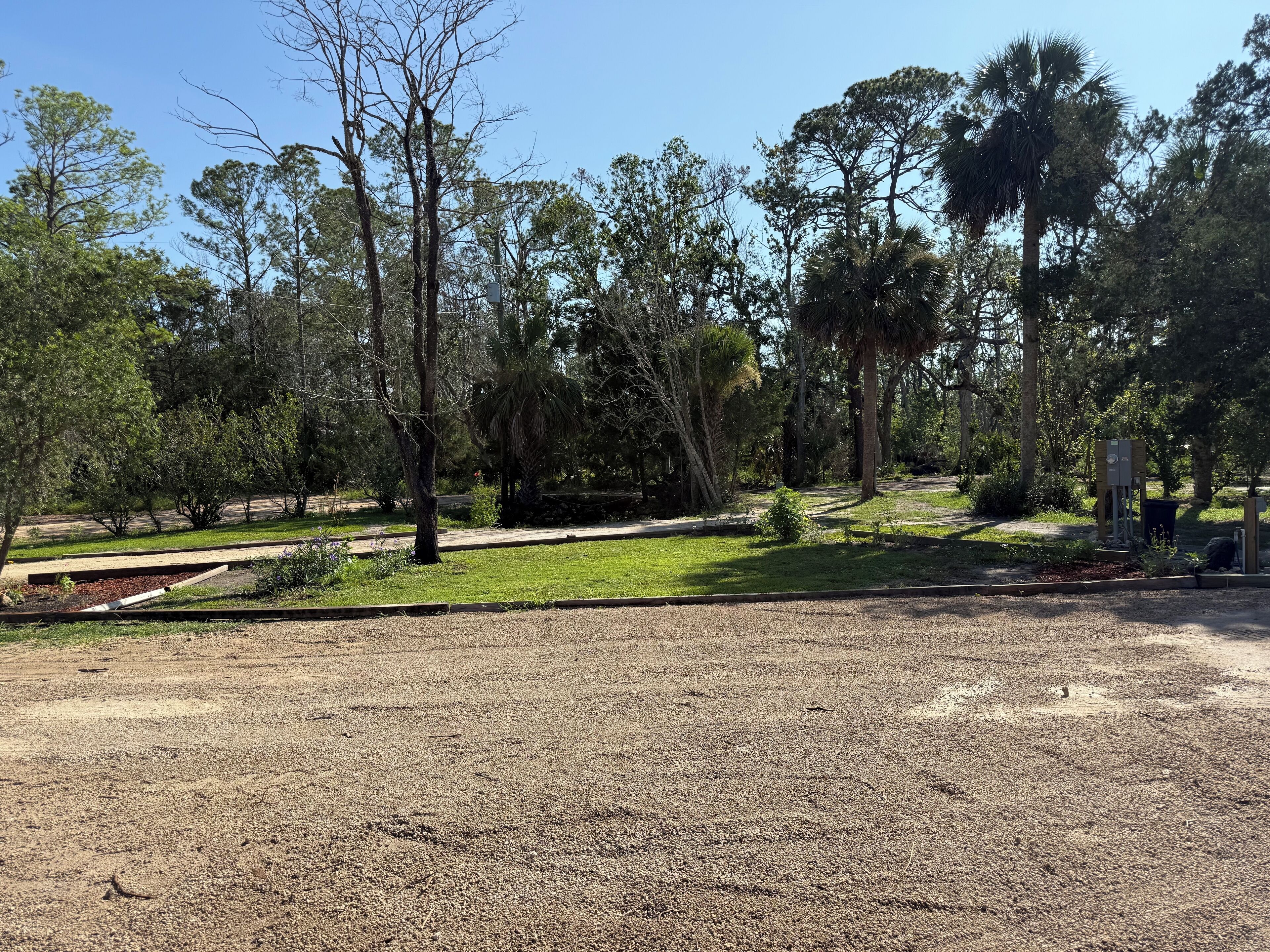 Un parc avec un chemin de gravier, de l’herbe verte et divers arbres, dont des arbres de grande taille et des palmiers.