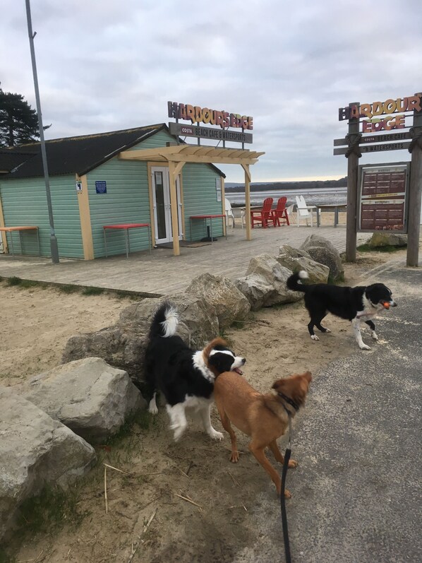 A beachside location with a sign reading "Harbour Edge Costa Beach Cafe & Watersports".