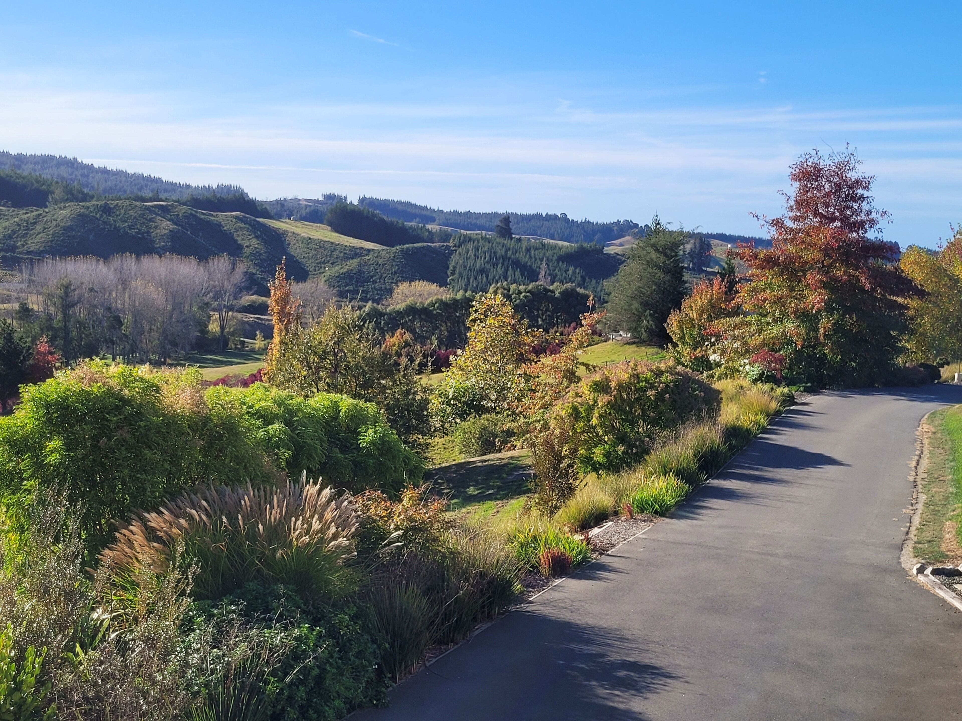 A rural road flanked by lush greenery and hills.