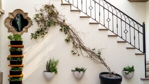 Een trap met ijzeren balustrade, een spiegel aan de muur en verschillende potplanten.