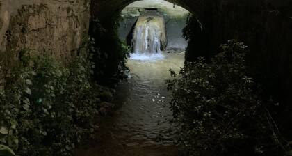 The Watermill | O Moinho da Ribeira