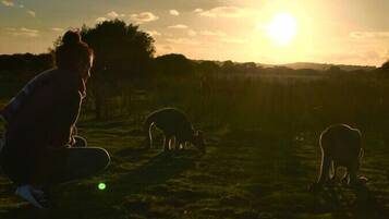 A person crouching in a grassy field with a sunset in the background.
