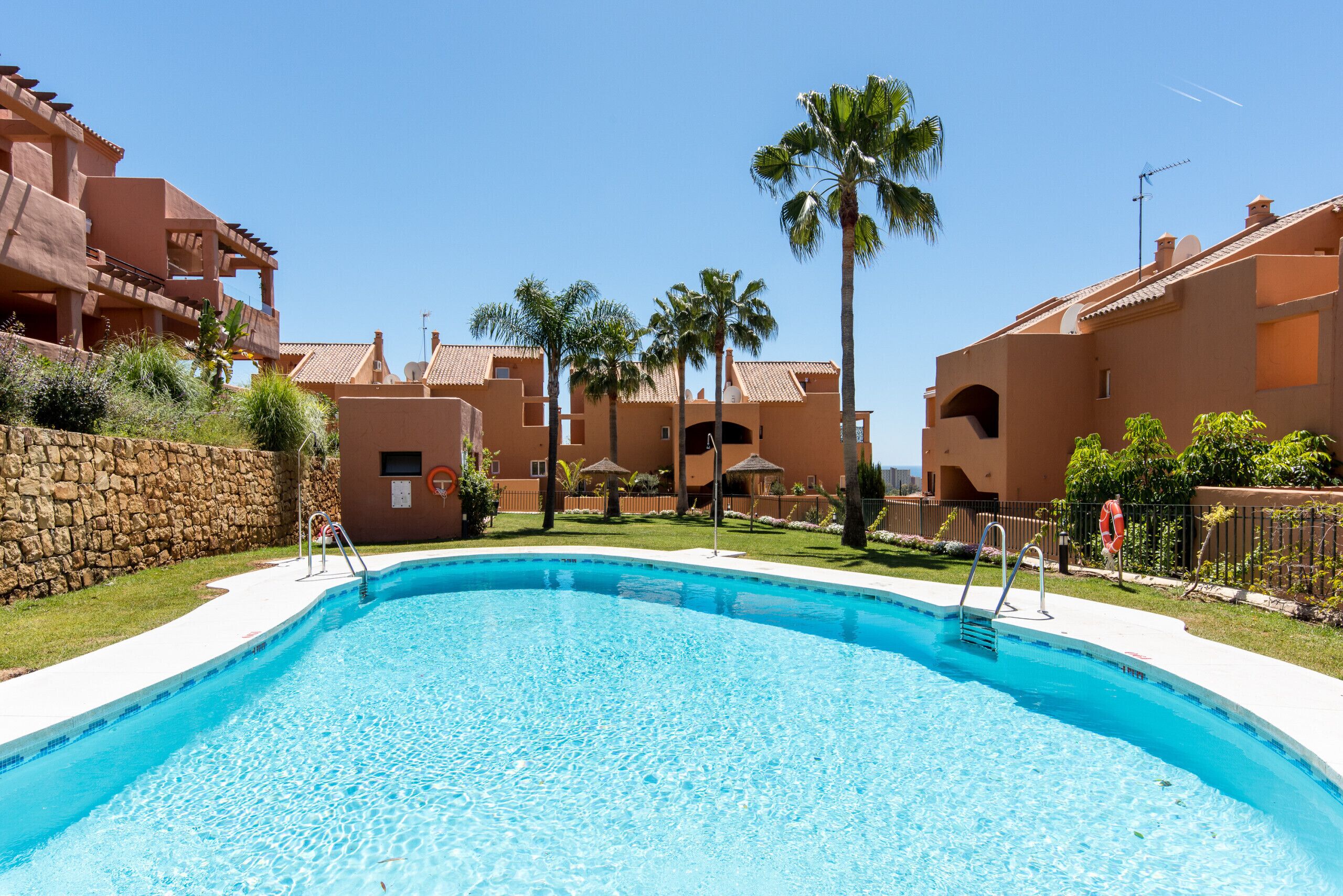 A swimming pool surrounded by buildings with a stone wall and palm trees.