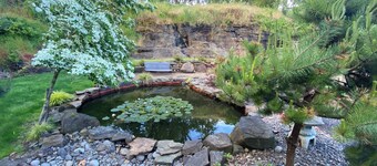 Exquisite Estate on 10 acres in North Albany.  15 minutes to OSU.