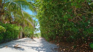 Un sentier bordé de palmiers et d’une végétation luxuriante, qui mène à un bâtiment.