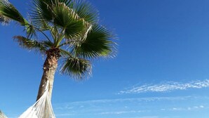 Una hamaca atada entre dos palmeras con vista al océano.