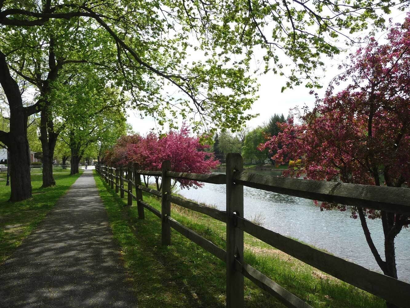 A pathway lined with trees and a wooden fence alongside a body of water.