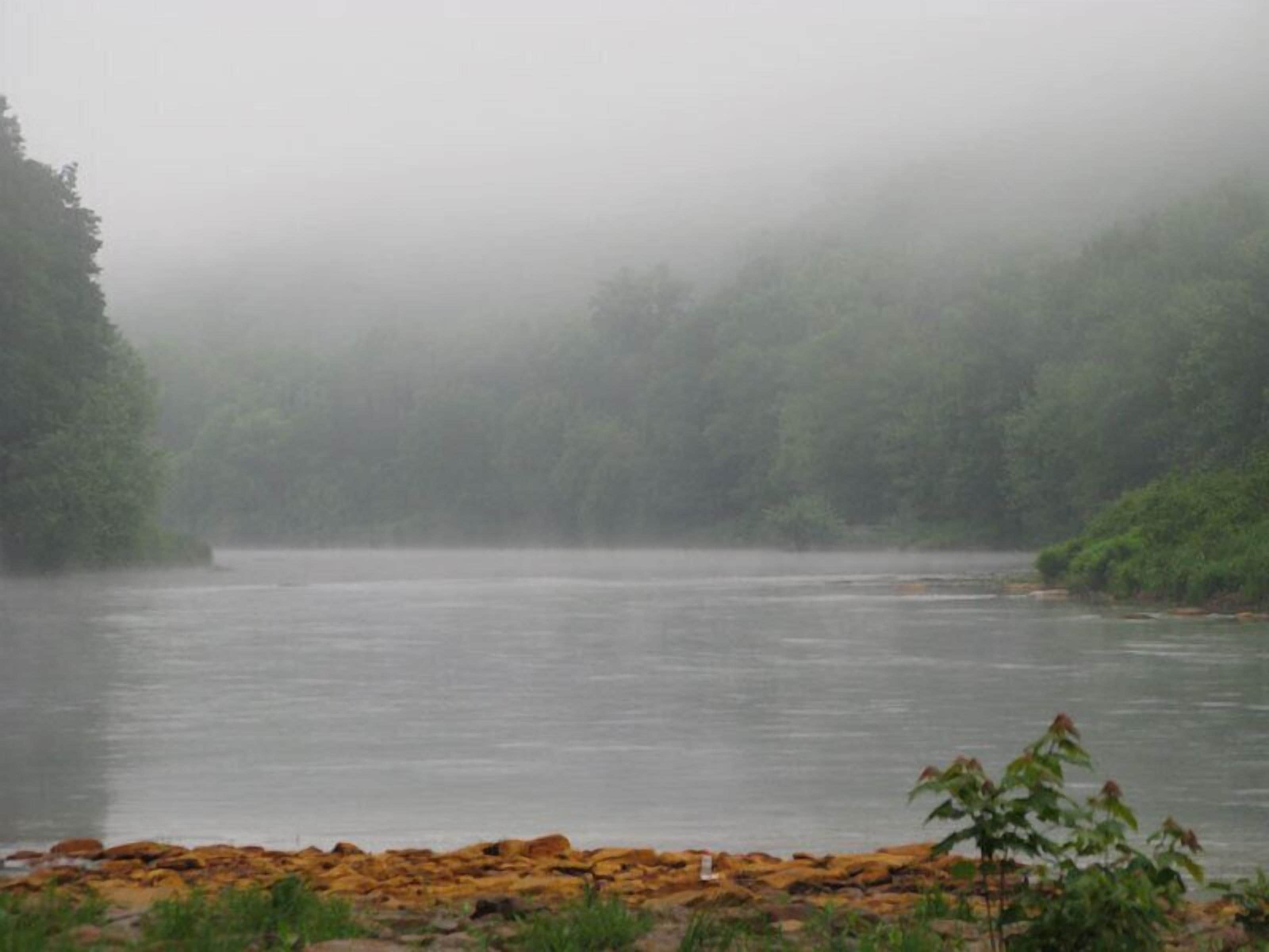 A river with a rocky foreground and dense forest in the background.