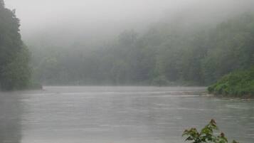 A river with a rocky foreground and dense forest in the background.
