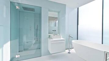 Combined shower/bathtub, hair dryer, towels, soap