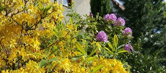 FEWO Am Kirchberg in Steinbach-Hallenberg