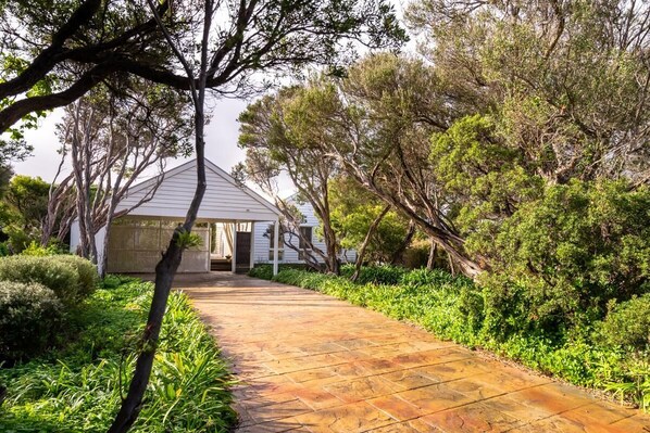 A pathway leading to a house surrounded by lush greenery.